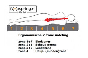 7-zone indeling Pocketveringmatras Salzburg Twijfelaar -  7 zone met Koudschuim afdekking